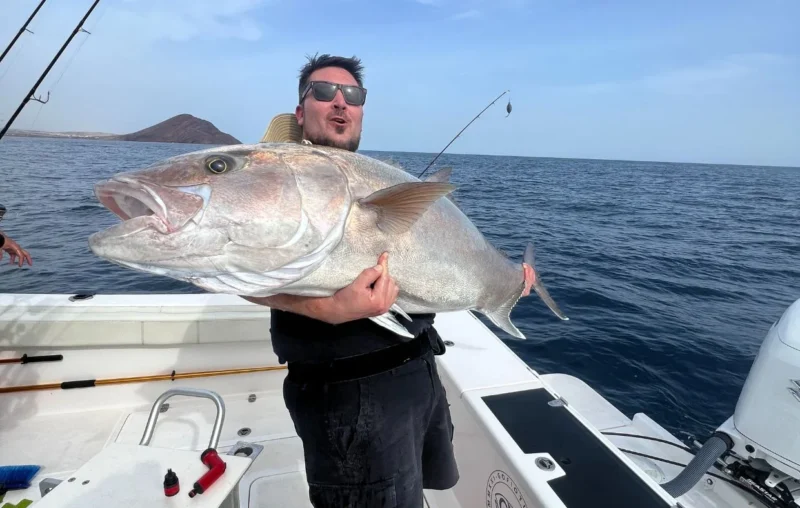 gofio-tuna-6 gofio-tuna-6