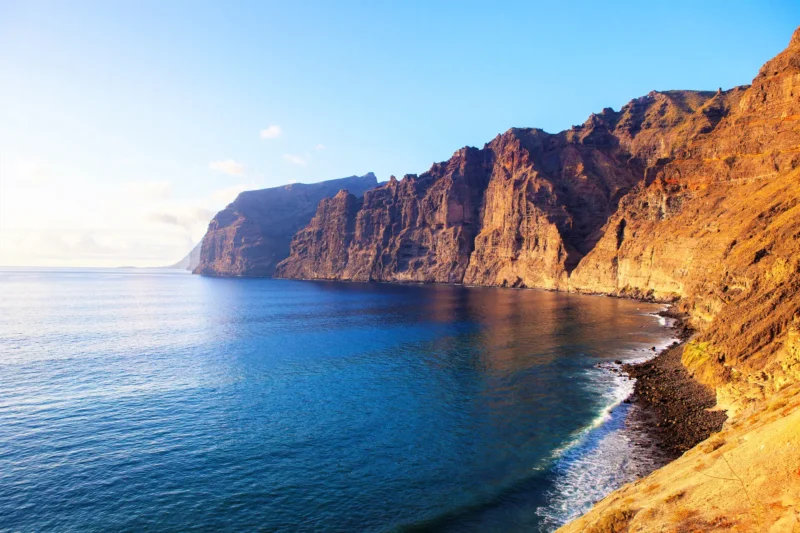 wycieczka-faktultatywna-teneryfa-w-pigulce-z-wizyta-w-loro-parku-753-122285 wycieczka-faktultatywna-teneryfa-w-pigulce-z-wizyta-w-loro-parku-753-122285